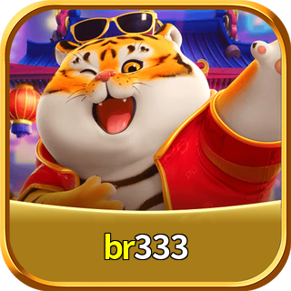 br333